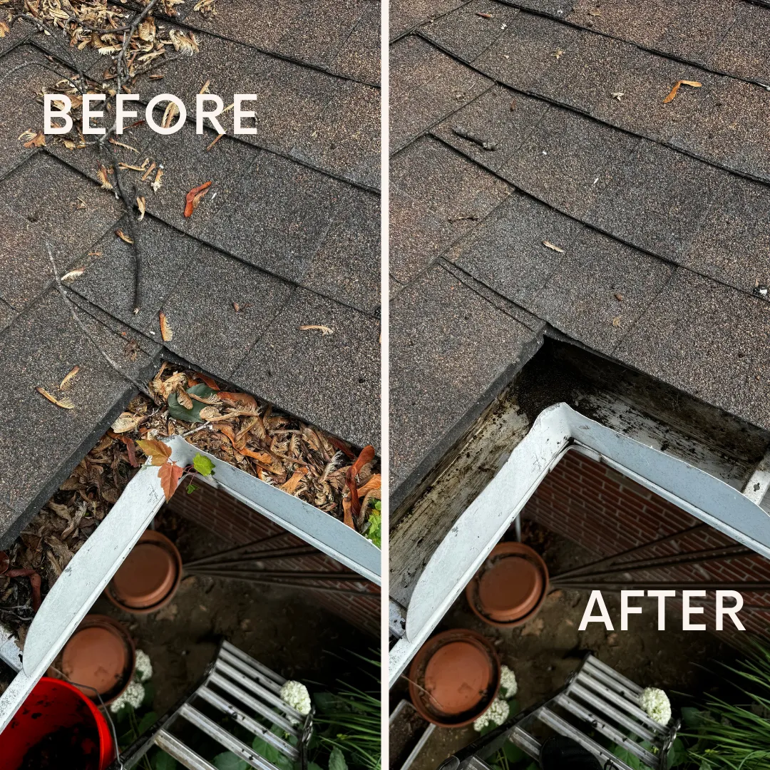 Exterior cleaning transformation before and after