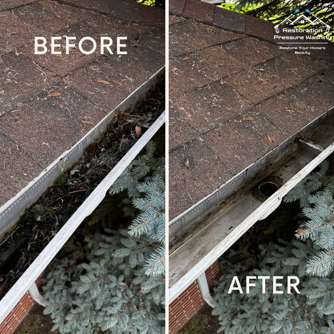 Gutter cleared above a spruce — before and after