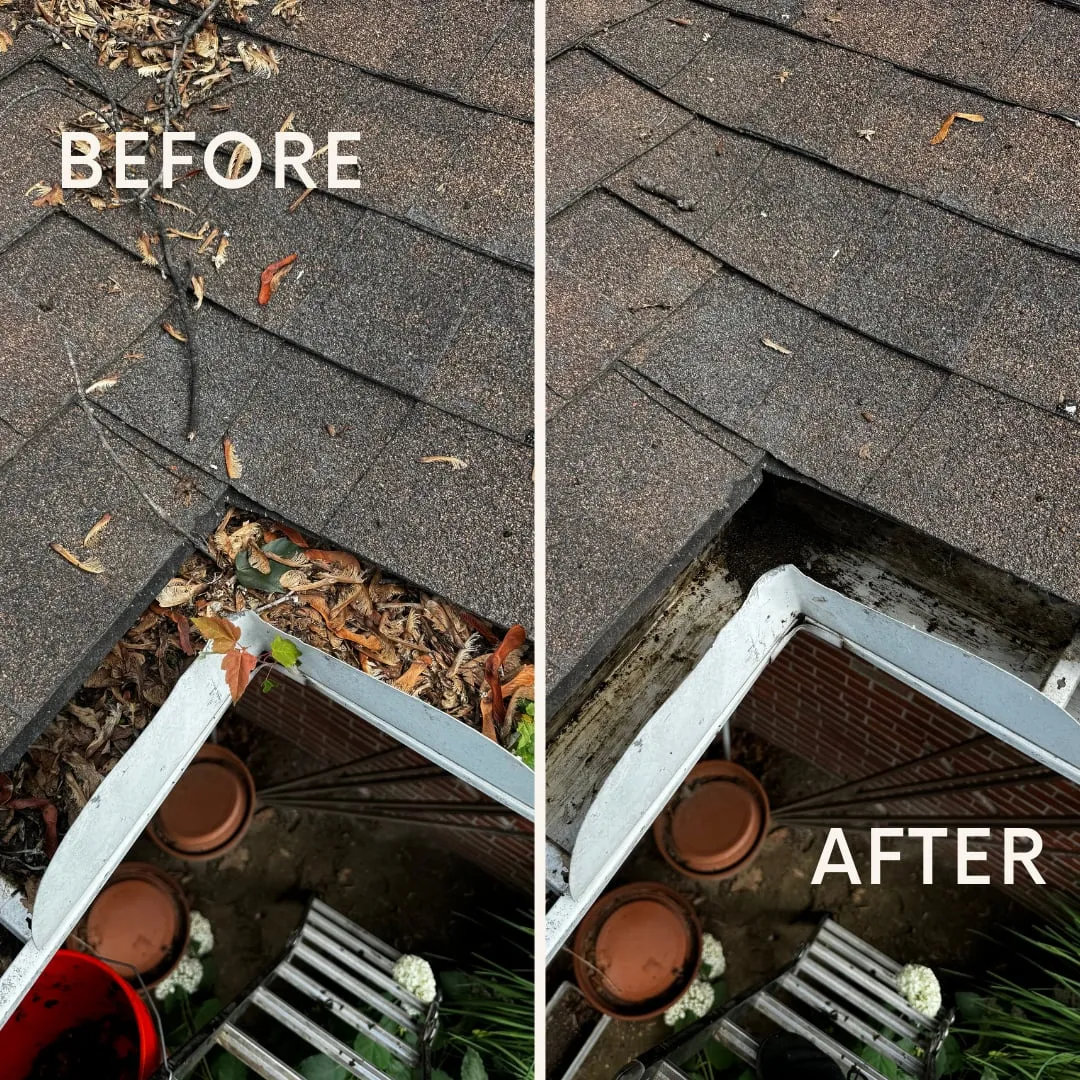Packed gutter before and after hand clearing