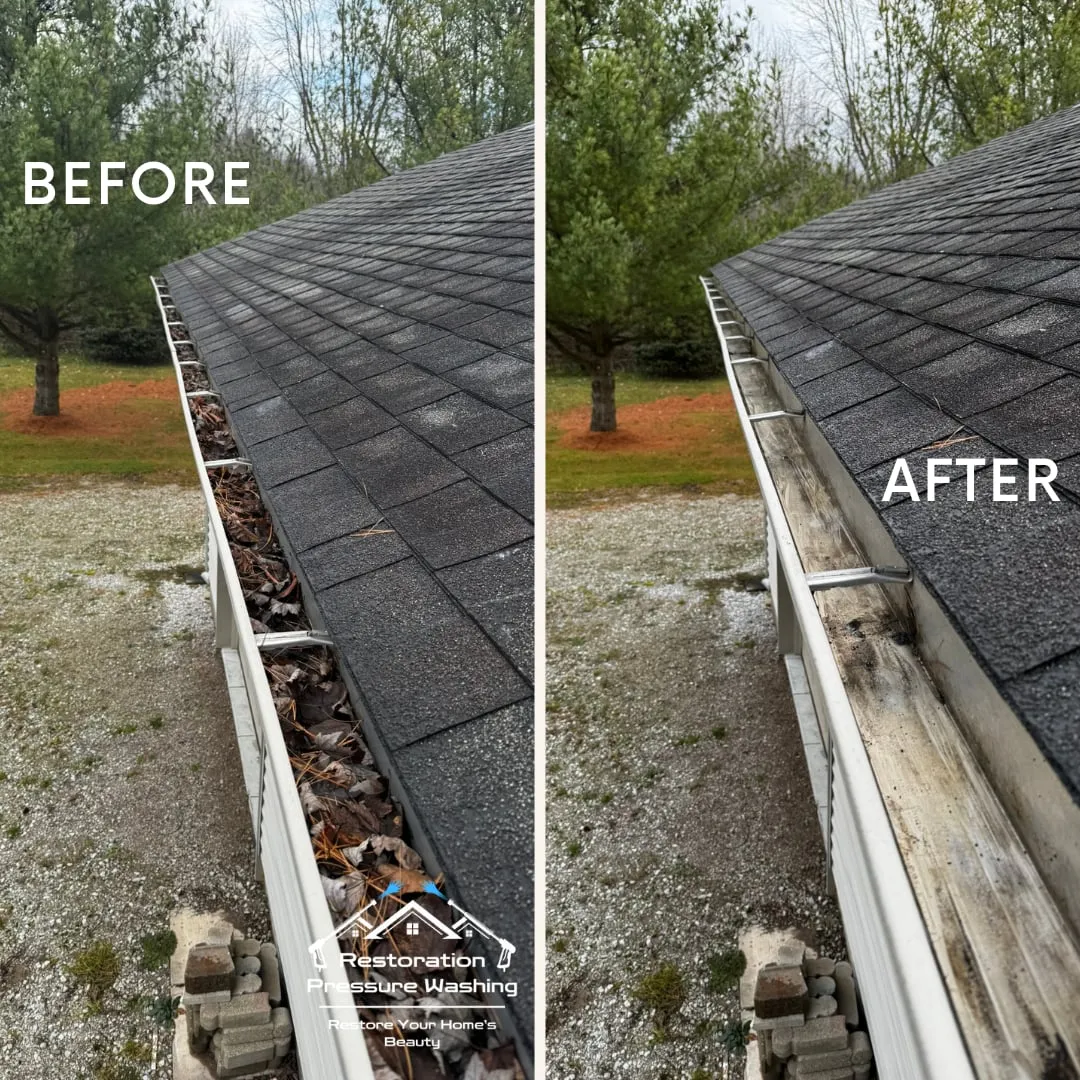 Gutter along a wooded lot before and after cleaning
