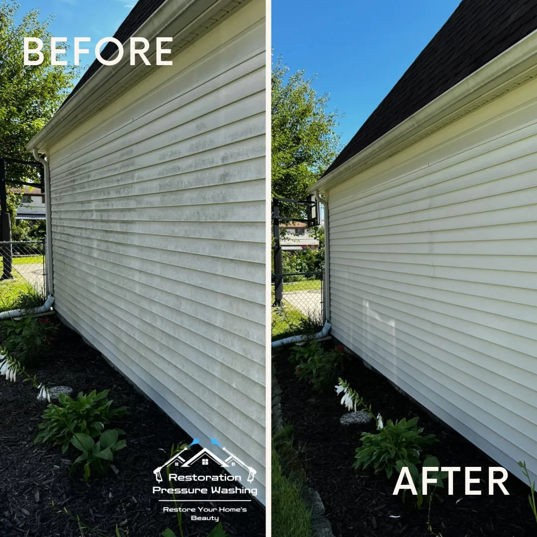House washing before and after — green algae soft-washed off vinyl siding