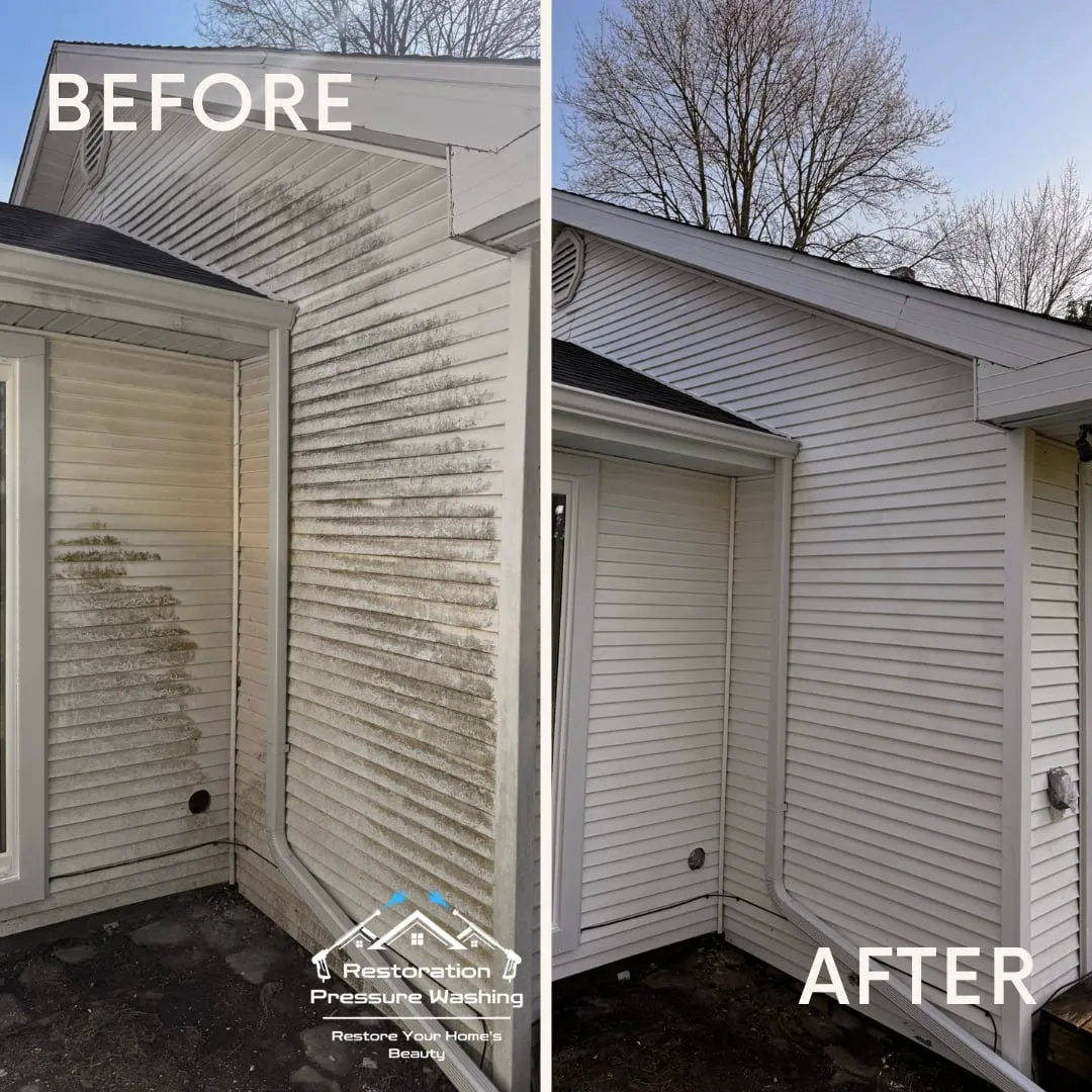 Green algae soft-washed off a white vinyl corner — house washing before and after