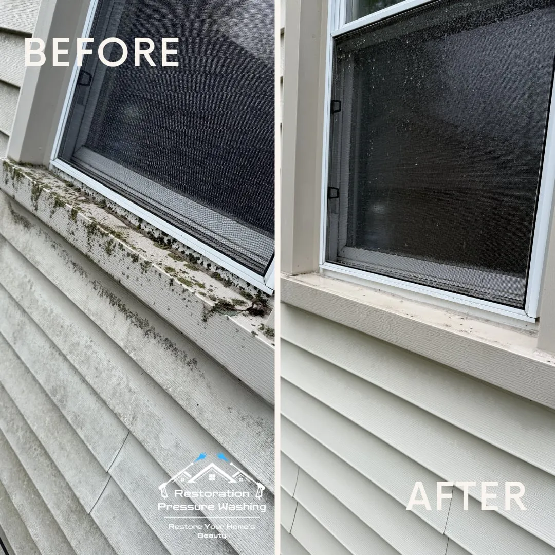 Grime along the gutter line and siding before and after a soft wash
